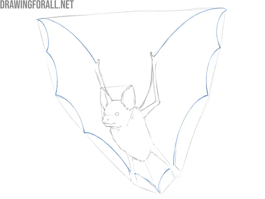 Refine the wing edges and tail