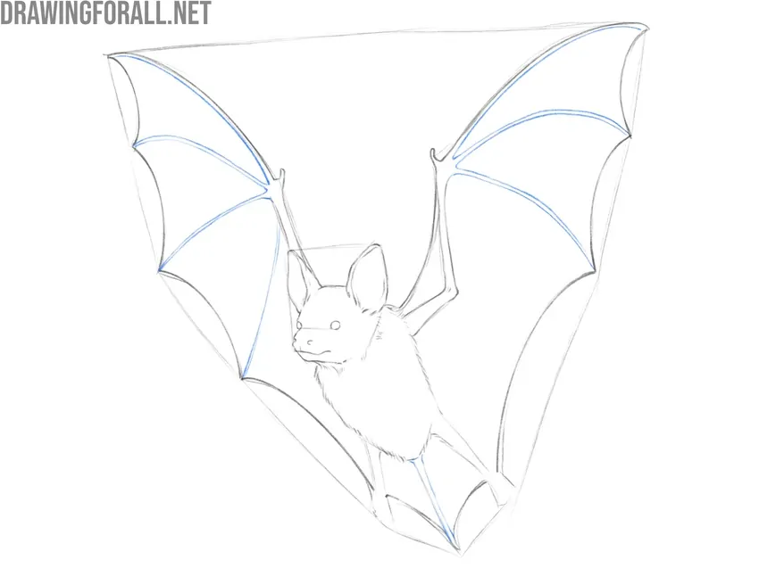 Draw the long bat wing fingers