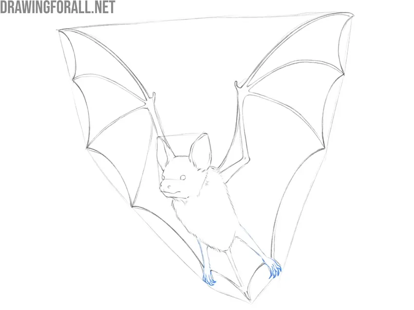 Shape the legs and sharp claws