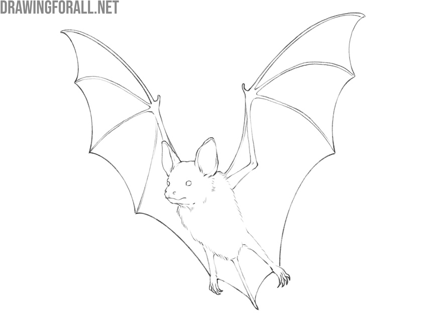 Clean the sketch and check symmetry