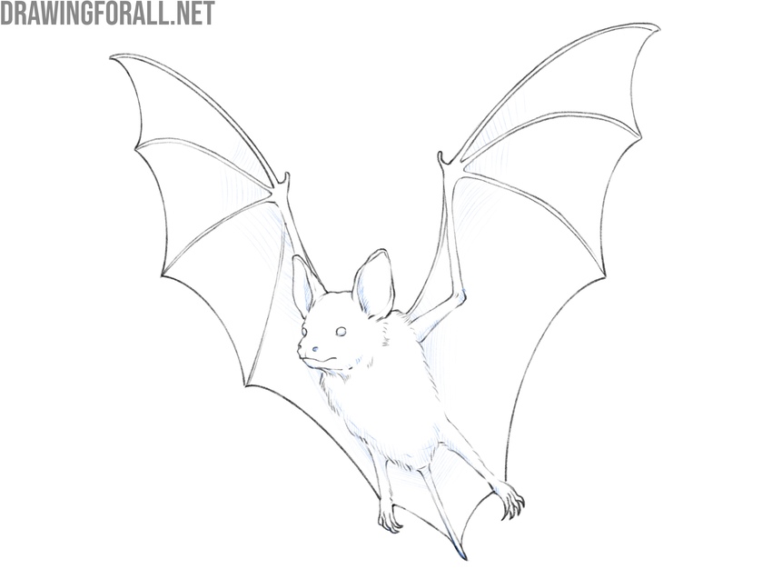 Add the shadows to the bat