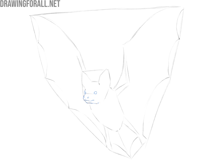 Draw the bat eyes and mouth