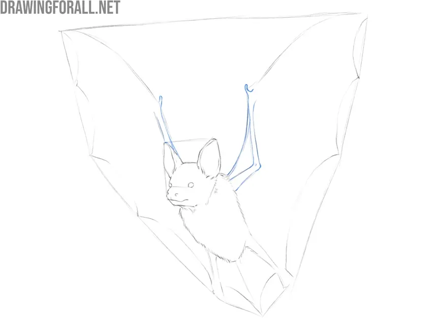 Draw the bat arms in detail