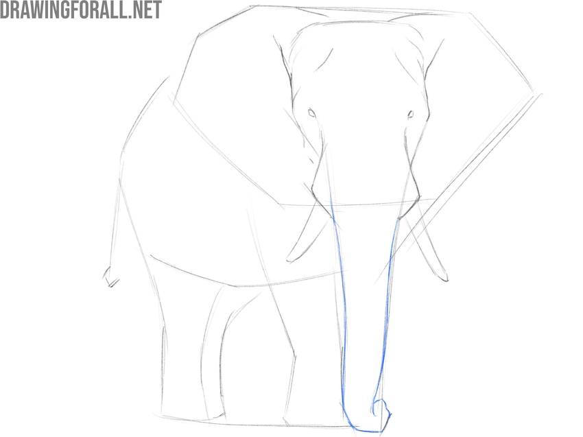Draw the elephant trunk in detail