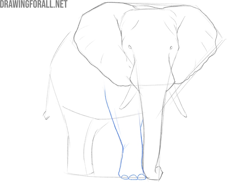 Trace and complete the front legs