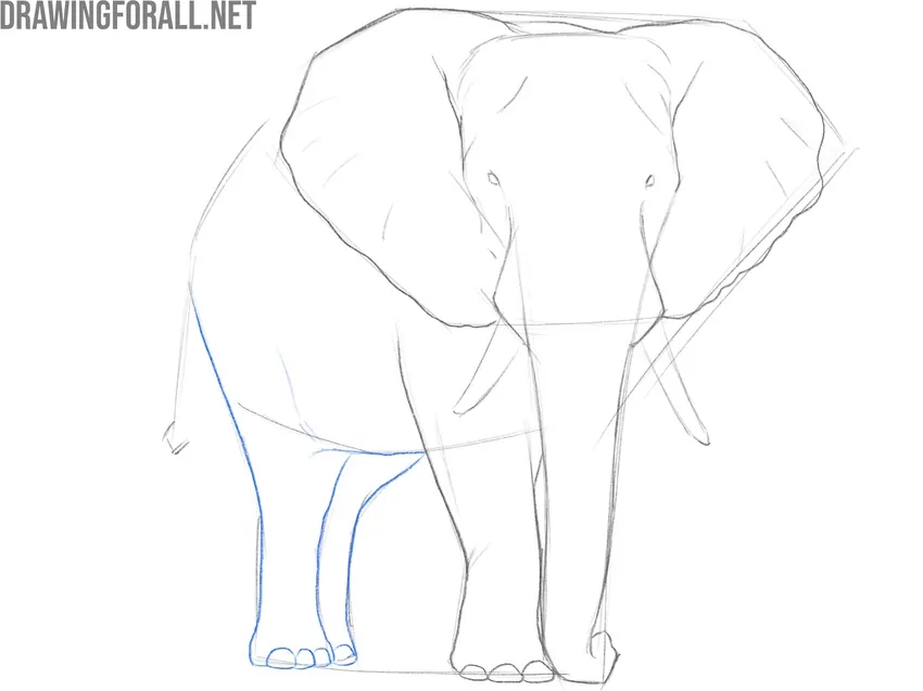 Refine the hind legs and toenails