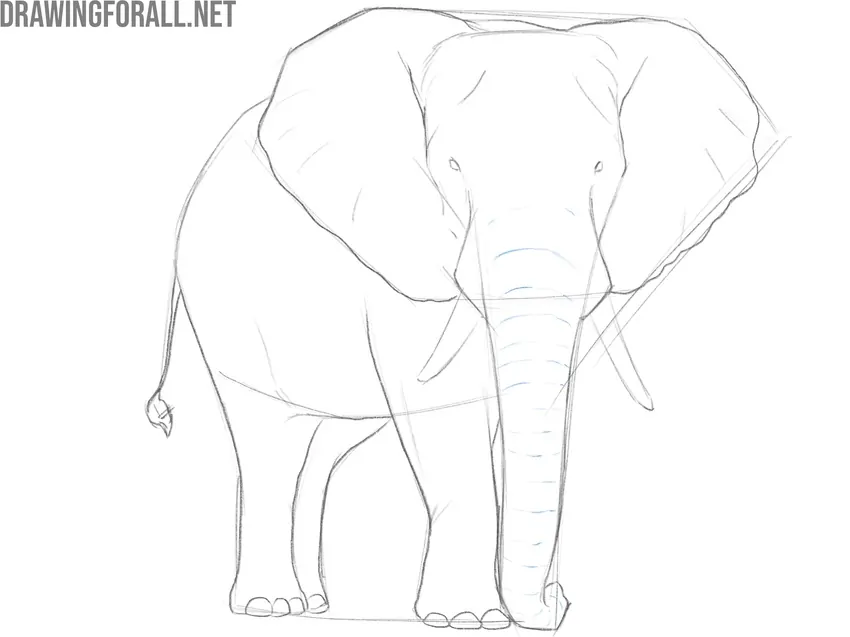 Add the trunk wrinkle texture