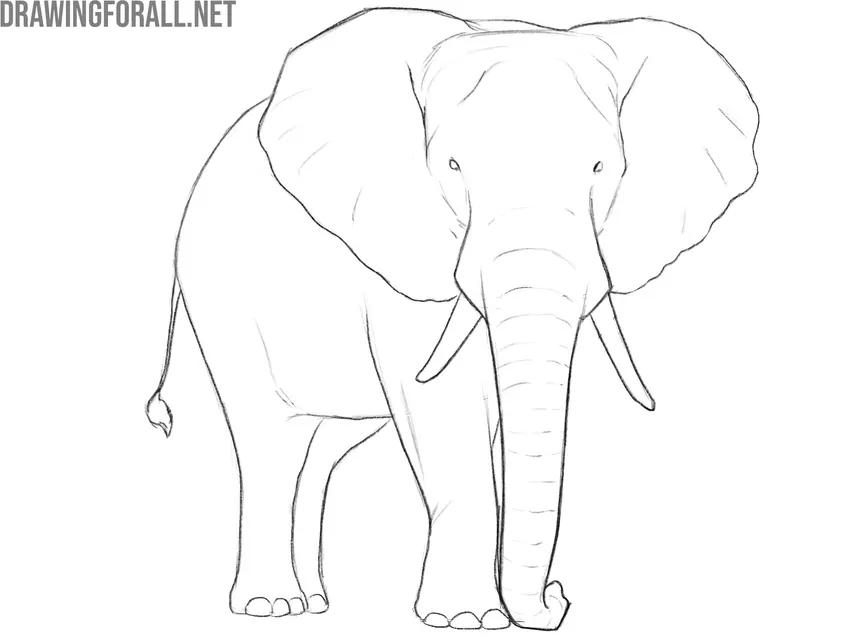 Clean up and complete the forms