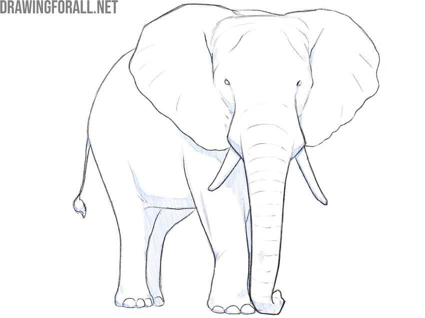 Apply hatching along the form