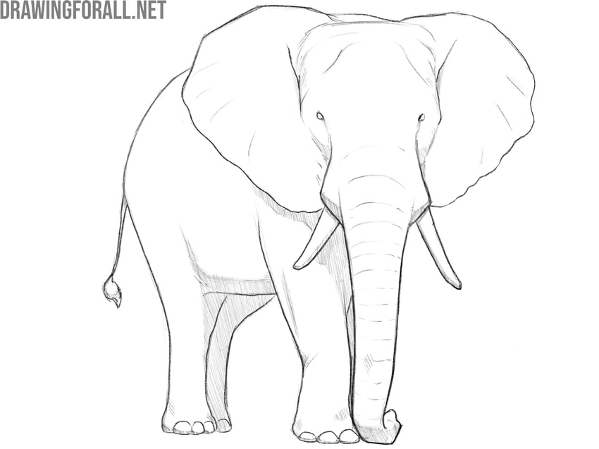 Review and finalize the drawing