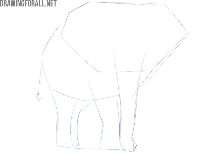 Sketch the legs of the elephant