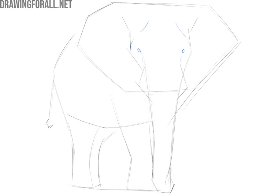 Draw the eyes of the elephant