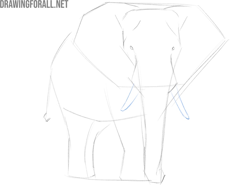 Draw the tusks of the elephant