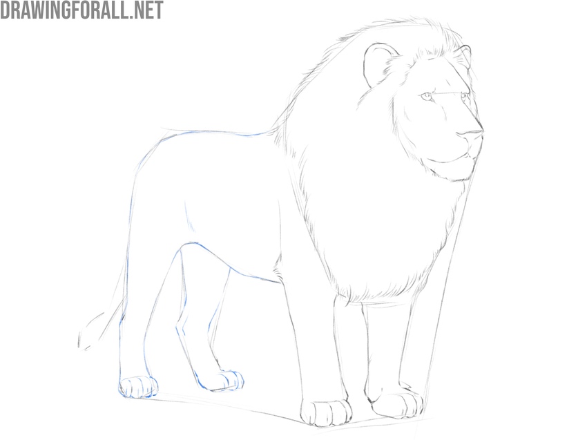 Finalize the hind legs and torso
