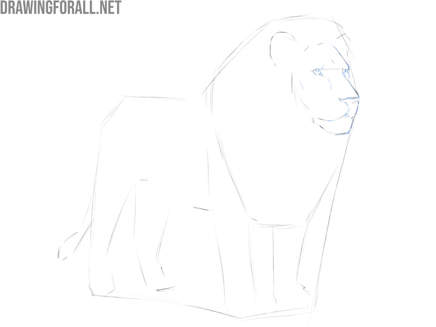 Draw the face of the lion in detail