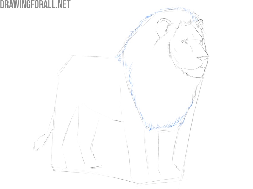 Draw the mane of the lion in detail