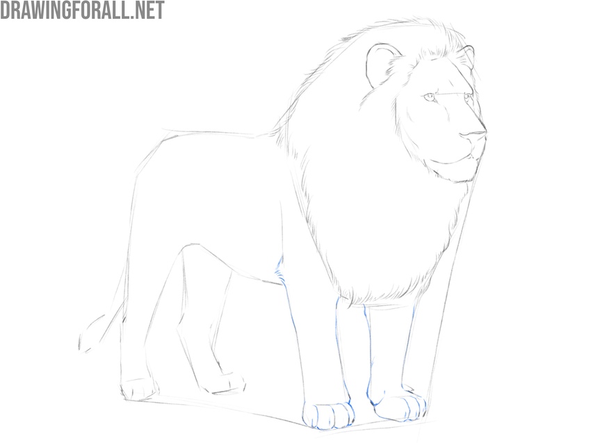 Draw the front paws of the lion