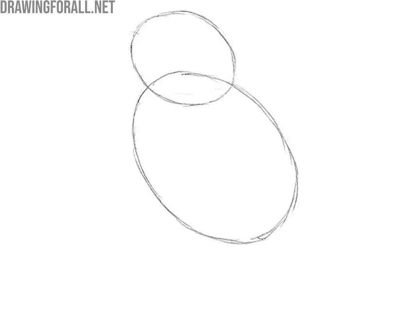 Draw the head of the sparrow