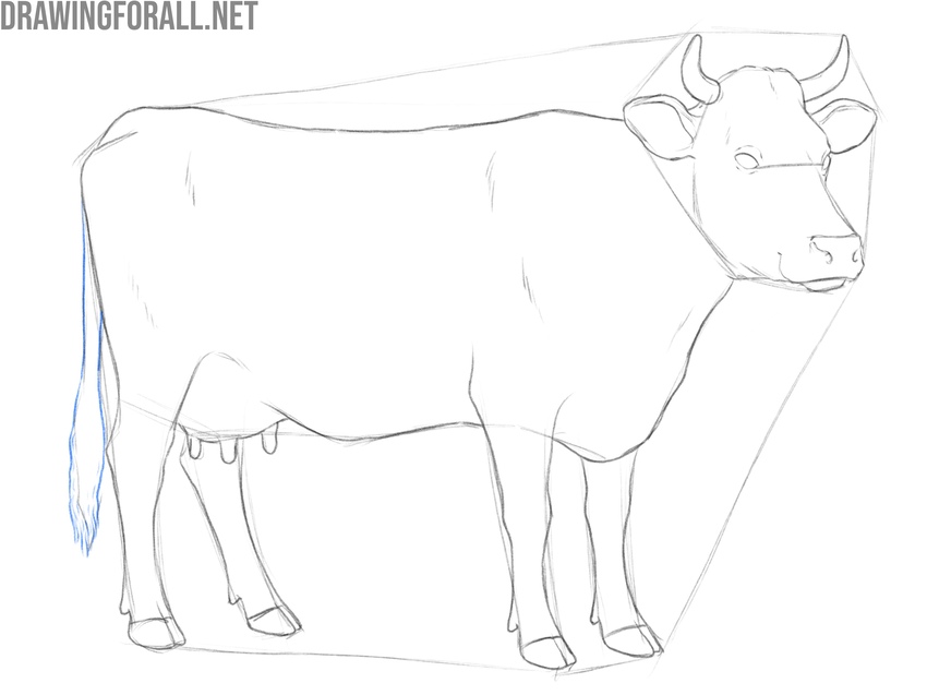 Draw the tail of the cow
