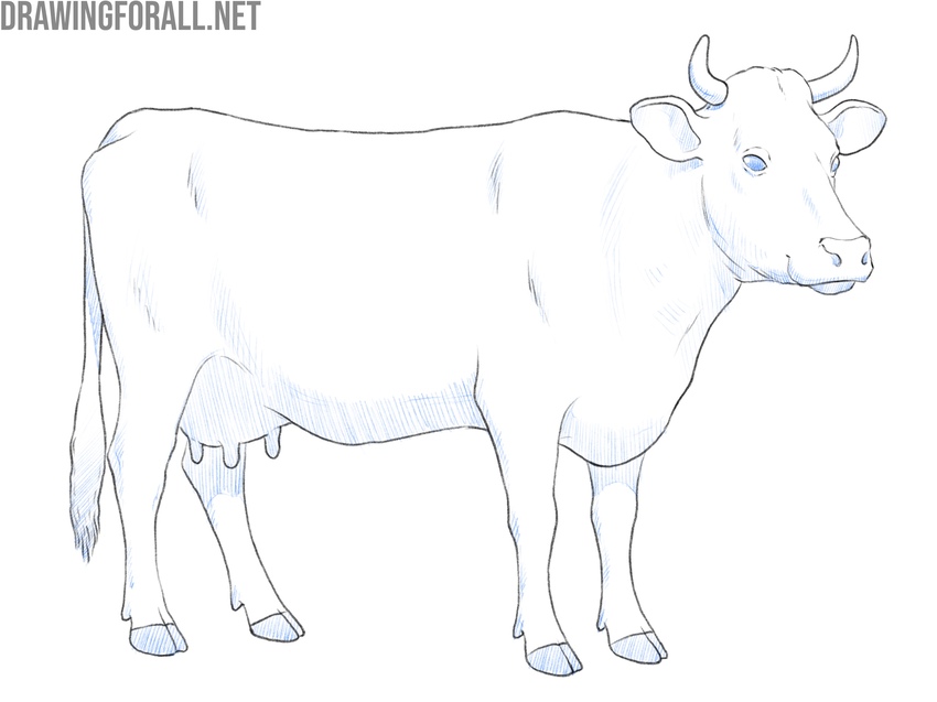 Add shading for volume to the animal