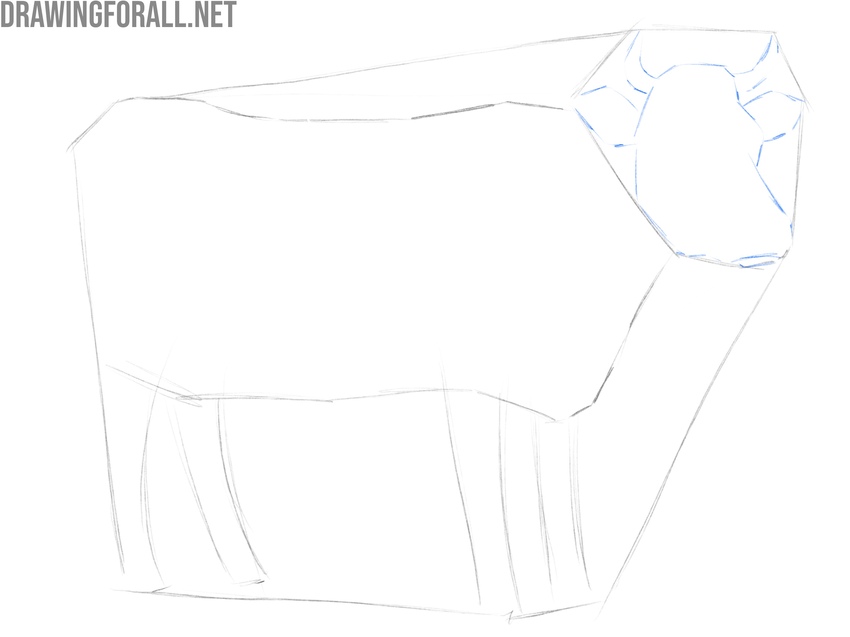 Draw the horns and ears of the cow