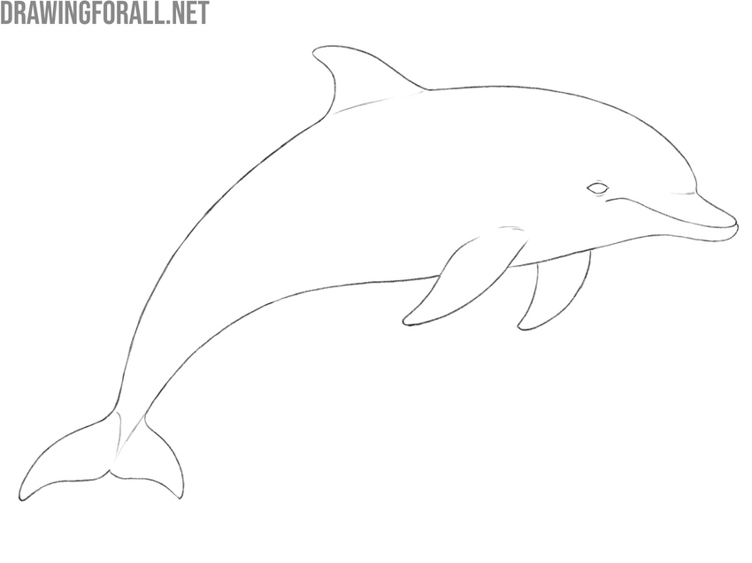 Clean up the dolphin sketch