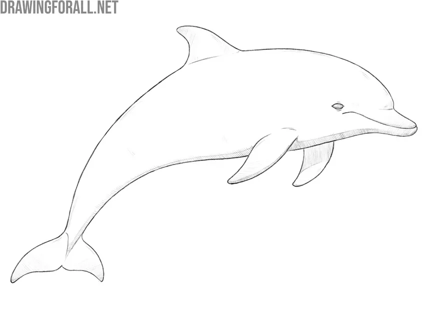 Check proportions and unify the drawing