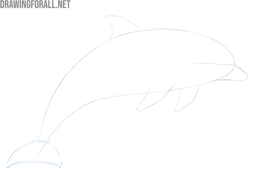Draw the tail of the dolphin