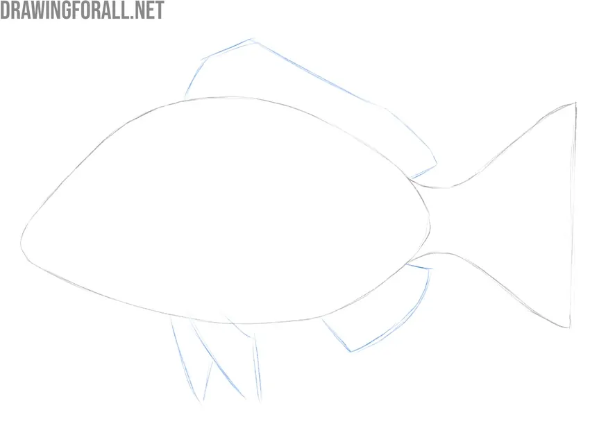 Draw the fins of the fish