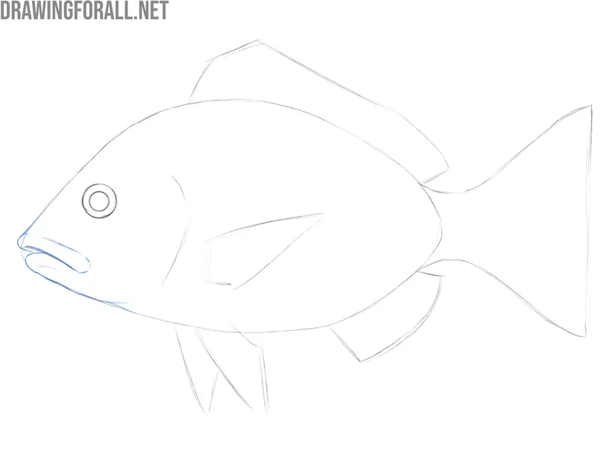 Refine the mouth and head contour