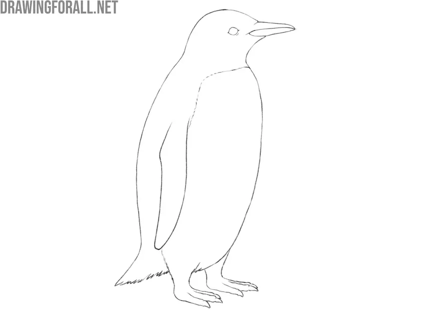 Clean up the bird drawing