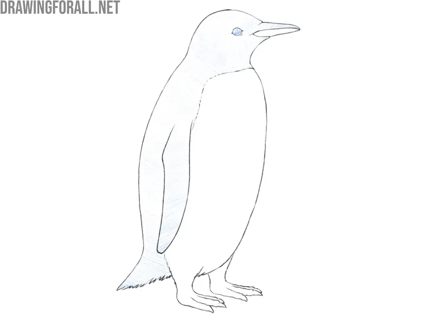 Shade the dark body areas