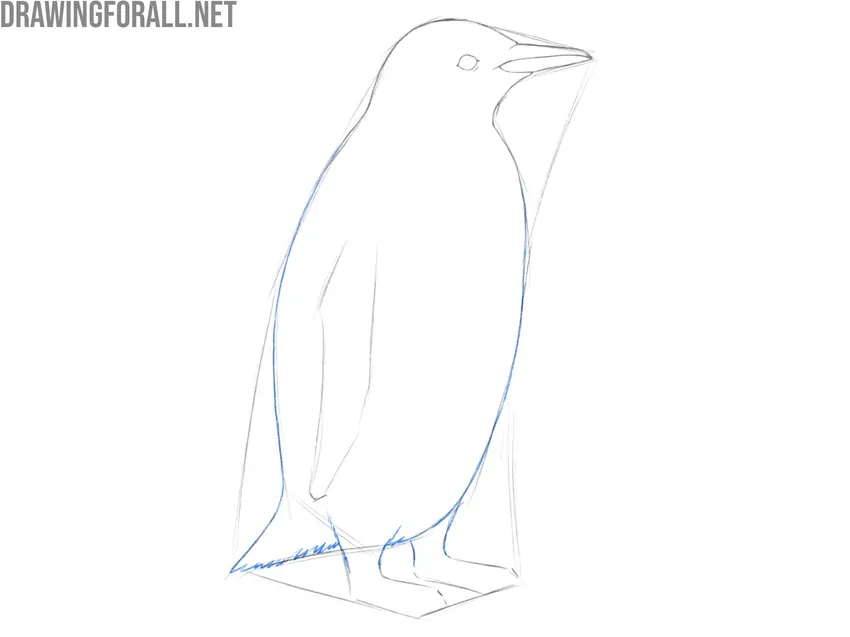 Refine the penguin’s body and tail