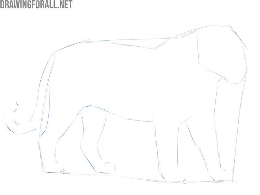 Sketch the big cat’s hind legs and tail