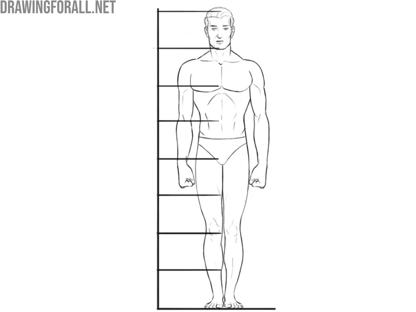 Proportion grid over a standing figure