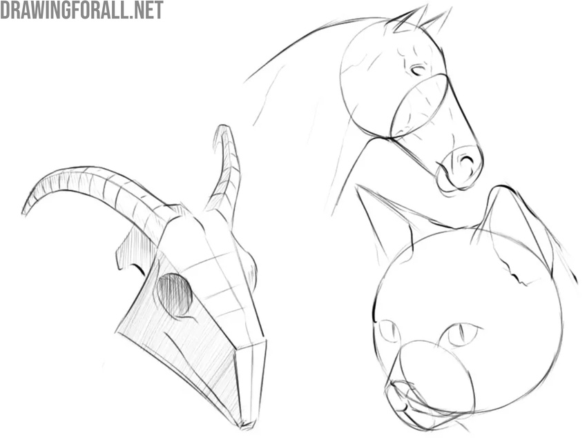 Animal construction sketches: goat, horse, and cat heads