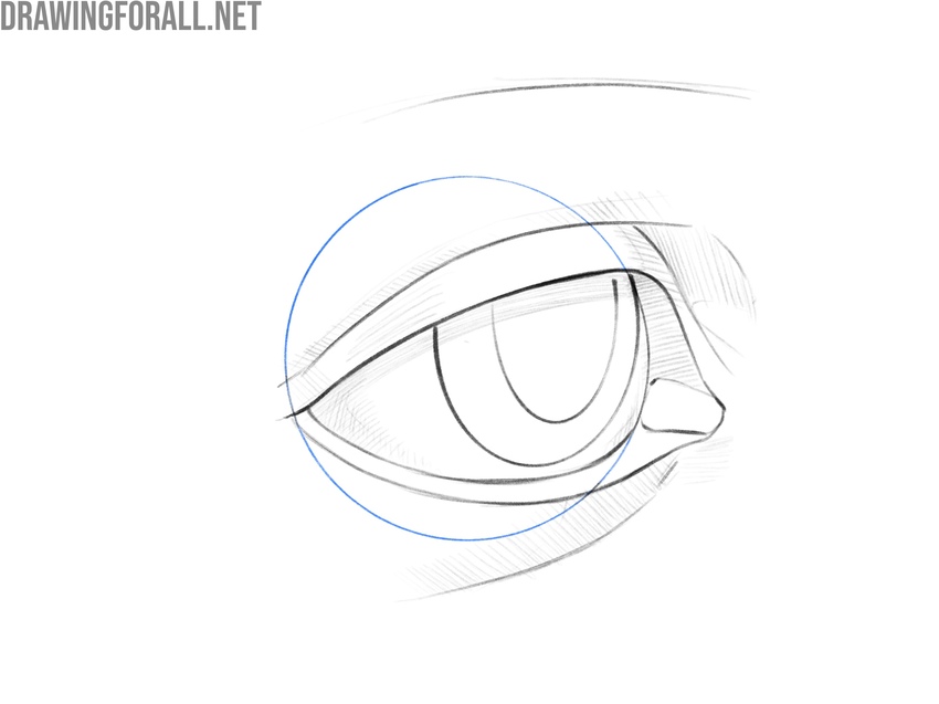 Eye structure and dimensional shape