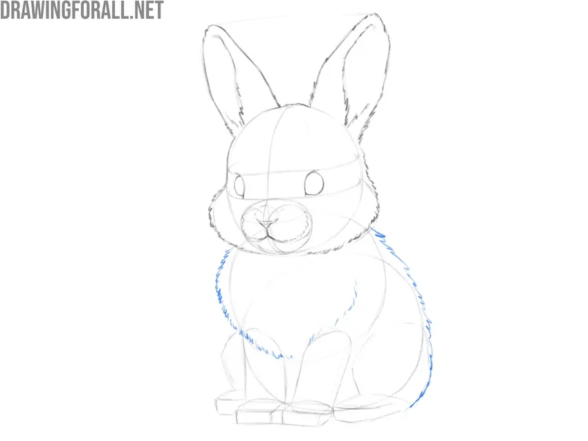 Add fur texture to the bunny’s body