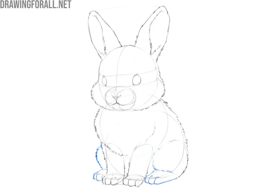 Refine the hind legs and paws