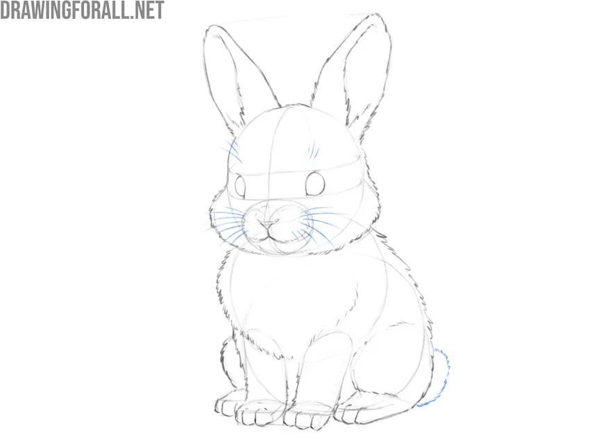 Sketch the fluffy tail and whiskers