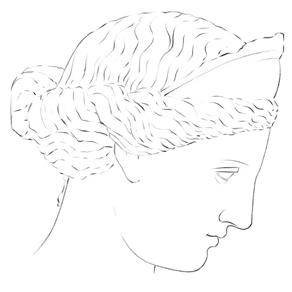 Illustration of the antique head of Diana executed in a linear technique