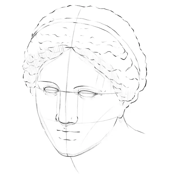 Illustration of the antique head of Aphrodite in the process of sketching
