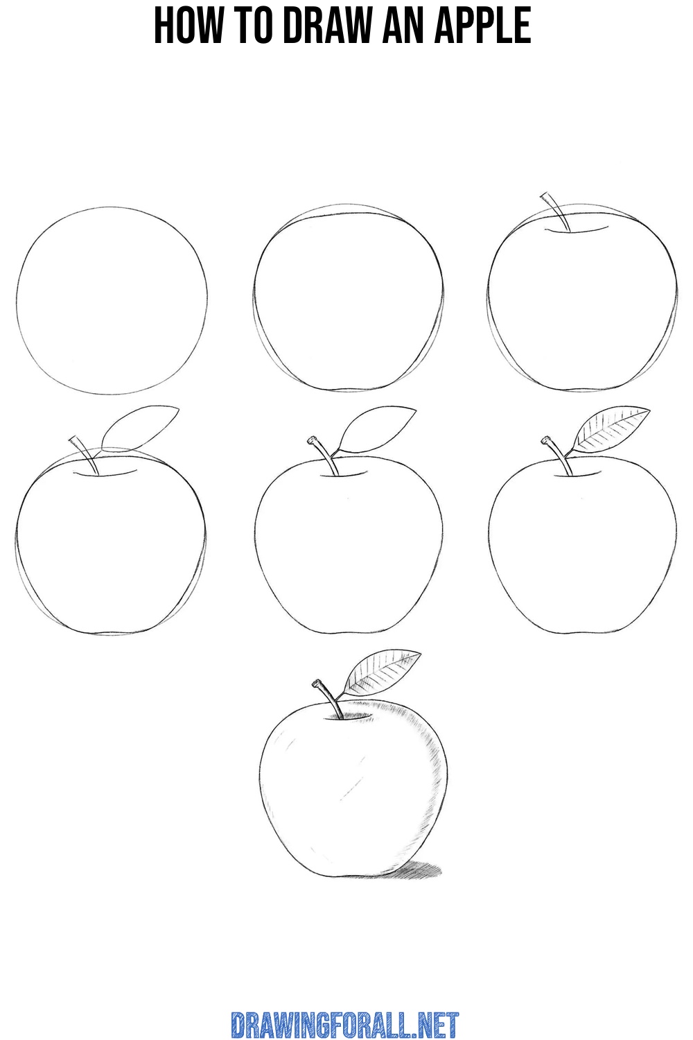 Apple drawing exercise