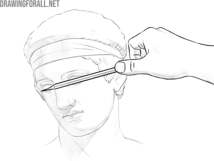 Measuring proportions on head using a pencil as reference tool