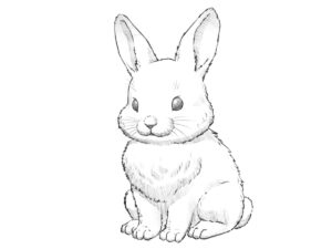 Bunny drawing with large ears, soft fur, and realistic pencil shading.