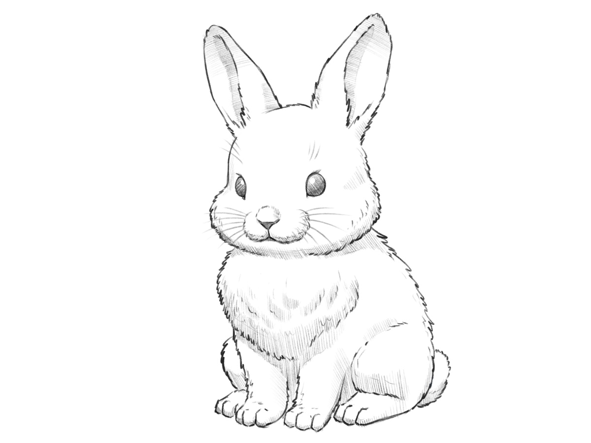 Bunny drawing with large ears, soft fur, and realistic pencil shading.