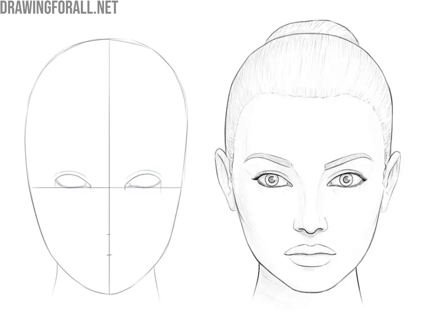 Line progression in drawing