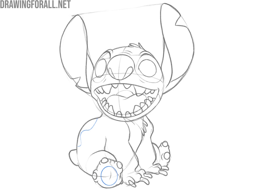 Sketch the body markings