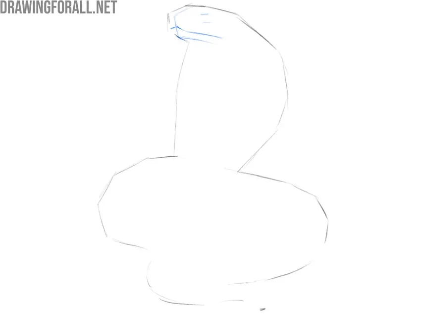 Block in the cobra’s facial structure