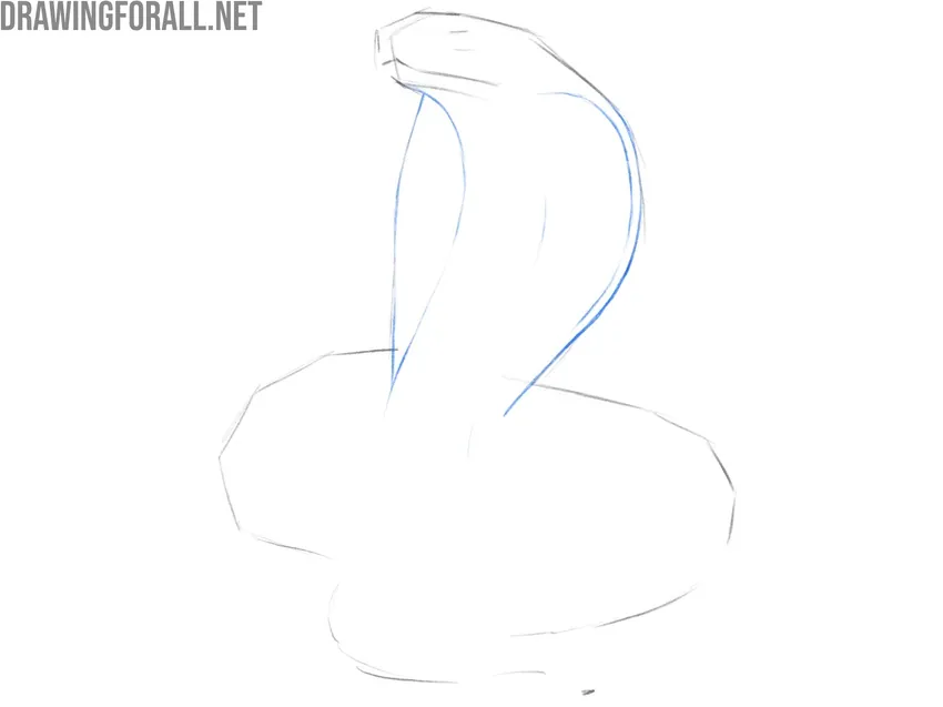 Draw the cobra hood in detail